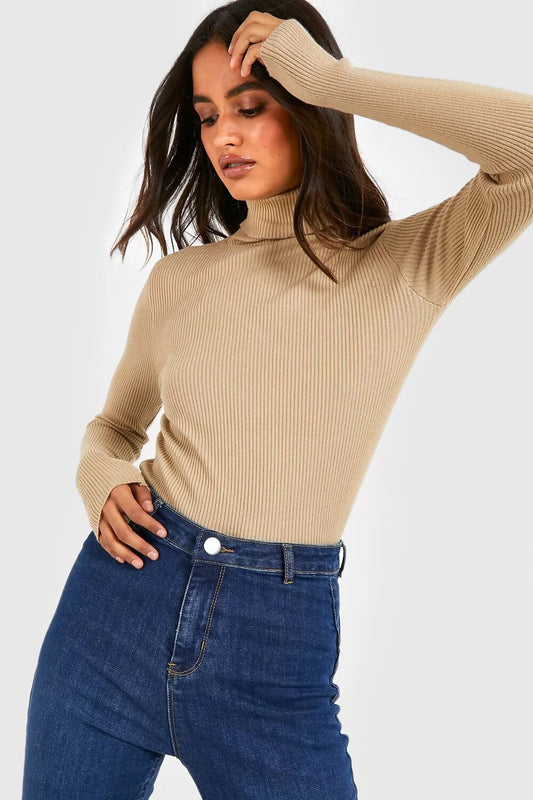 BASIC TURTLE NECK RIBBED TOP